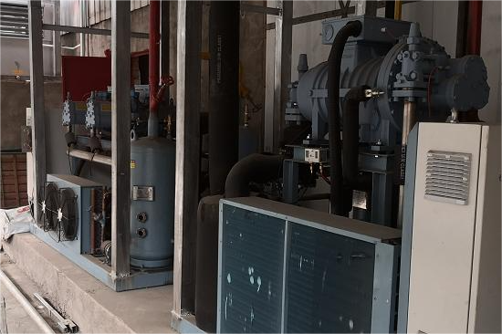 攀枝花洛河农业冷库--小苍蜂