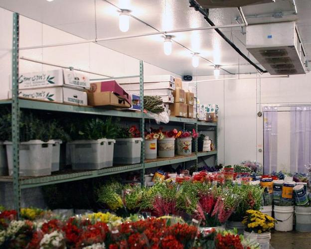 冷库在鲜花保鲜中的关键作用与操作指南