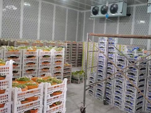 冷库轻微冰堵与严重冰堵的处理方式