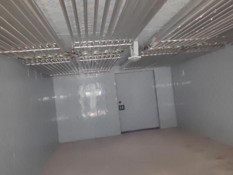 《顶排管技术在冷库设计中的五大核心优势与应用分析》