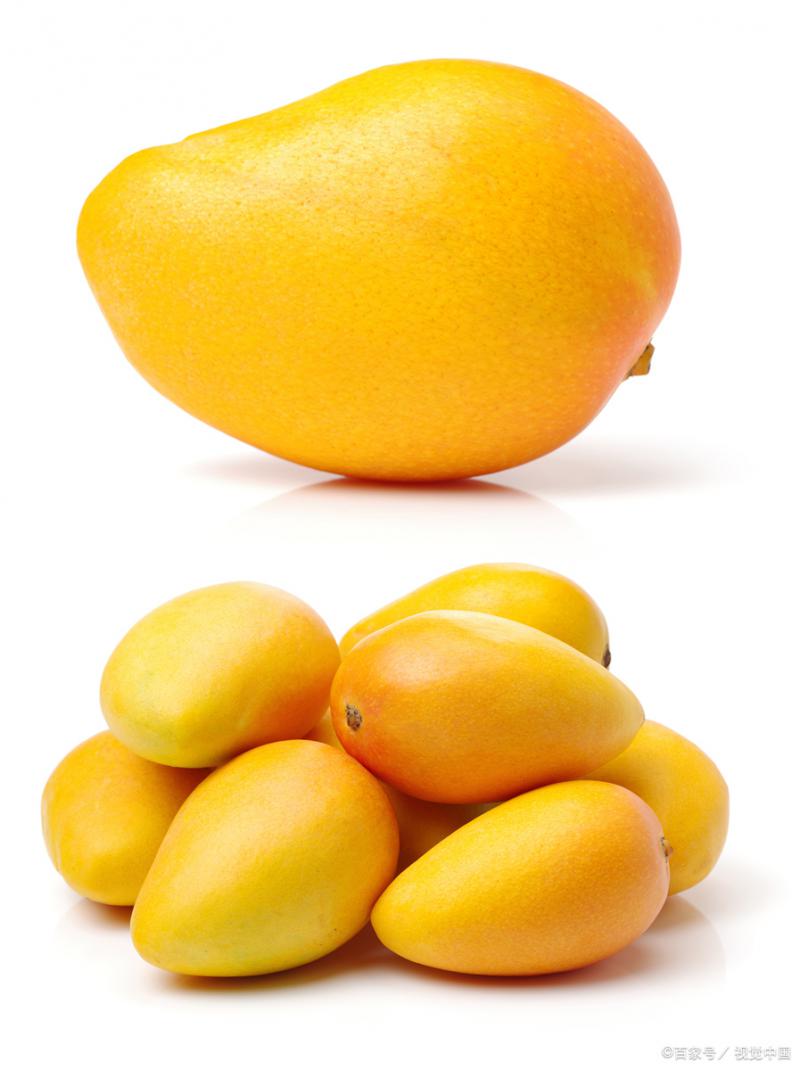 河南芒果冷库：锁住热带鲜美的“时光胶囊”